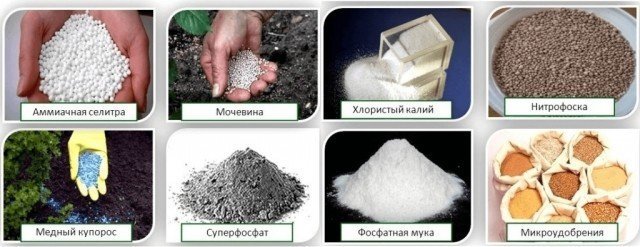 Разновидности минеральных удобрений
